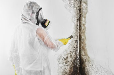 Attic Mold Removal in Dallas, TX