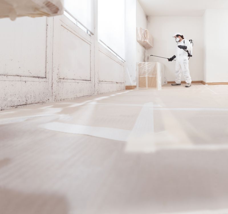 Attic Mold Removal in West Palm Beach, FL