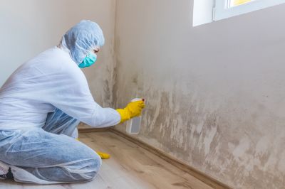 Crawl Space Mold Removal in Dallas, TX