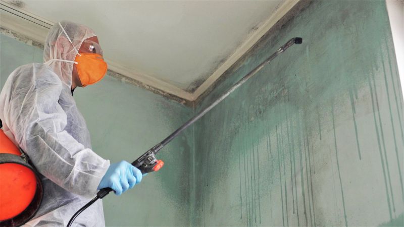 Mold Cleanup Service in Jupiter, FL