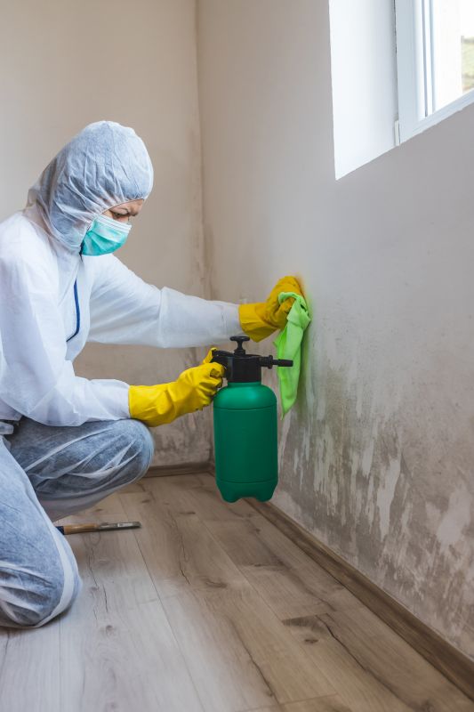 Mold Mitigation Service in Boca Raton, FL