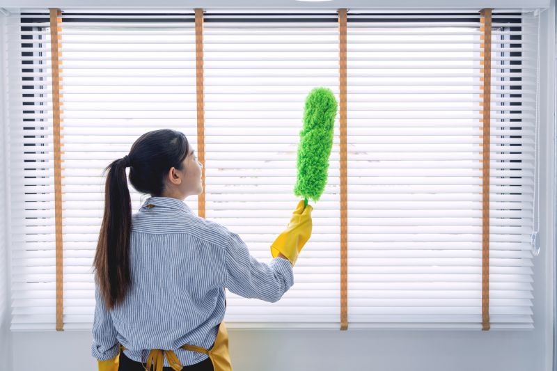 Blind Cleaning