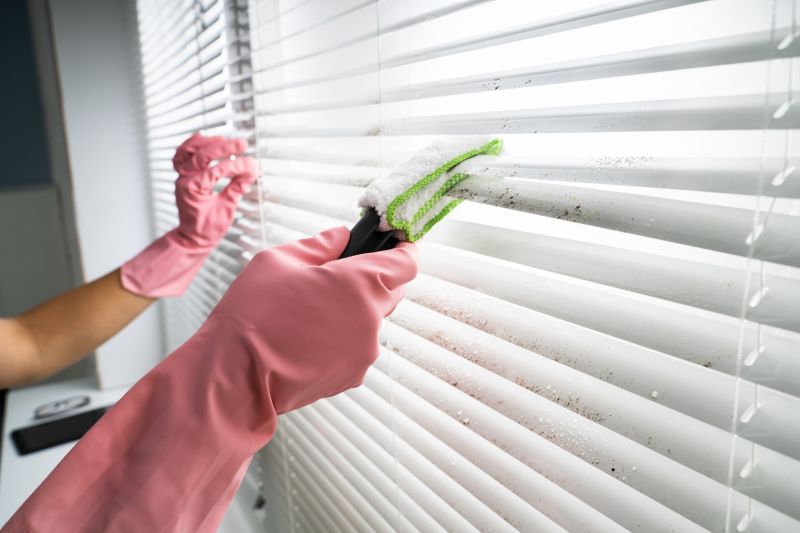 Professional Blind Cleaning Services — cost of