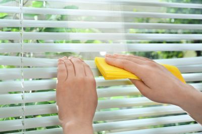 Professional Blind Cleaning Services — cost of