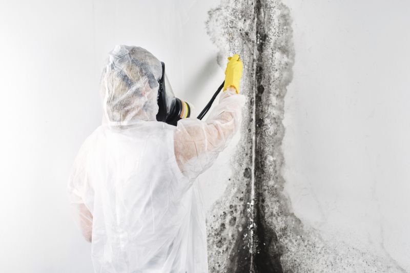 Crawlspace Mold Remediation in Essex County, NJ