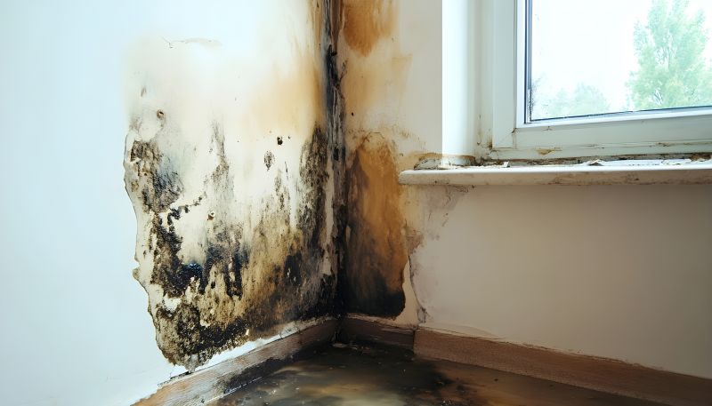 Garage Mold Remediation in West Palm Beach, FL