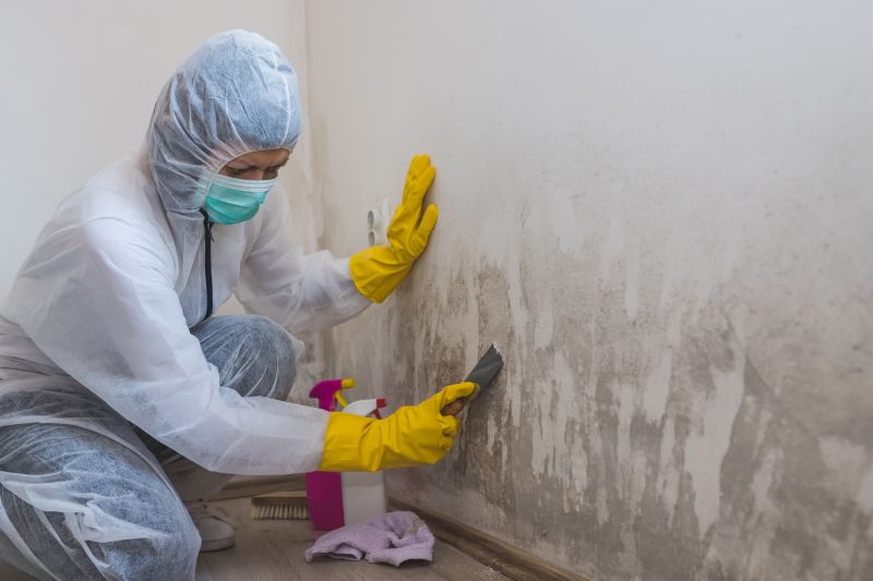 Mold Abatement Service in Fort Worth, TX