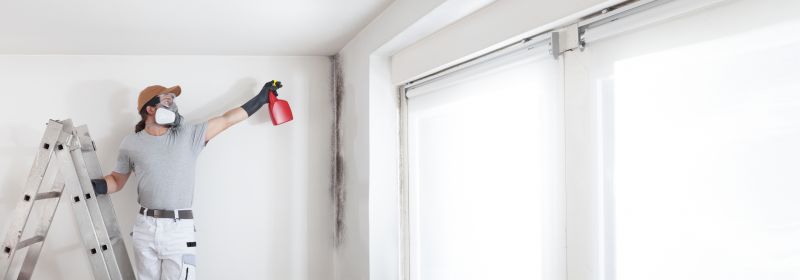 Mold Treatment Service in Jupiter, FL