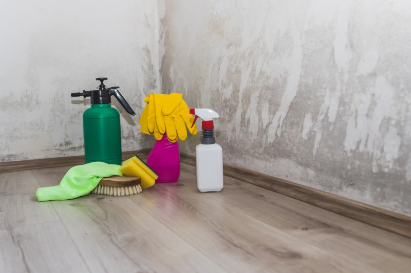 Mold Treatment Service in Broward County, FL
